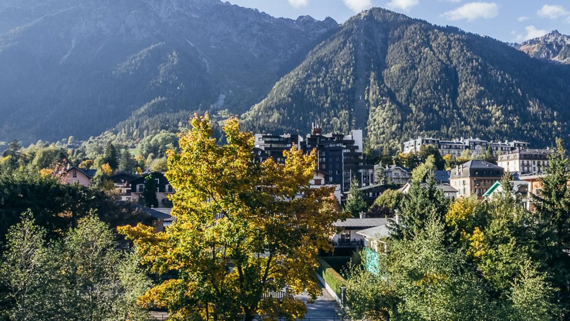 Apartment Joli Appartement Renove Avec Balcon Proche Zone Pietonne - Fr-1-343-164 Chamonix